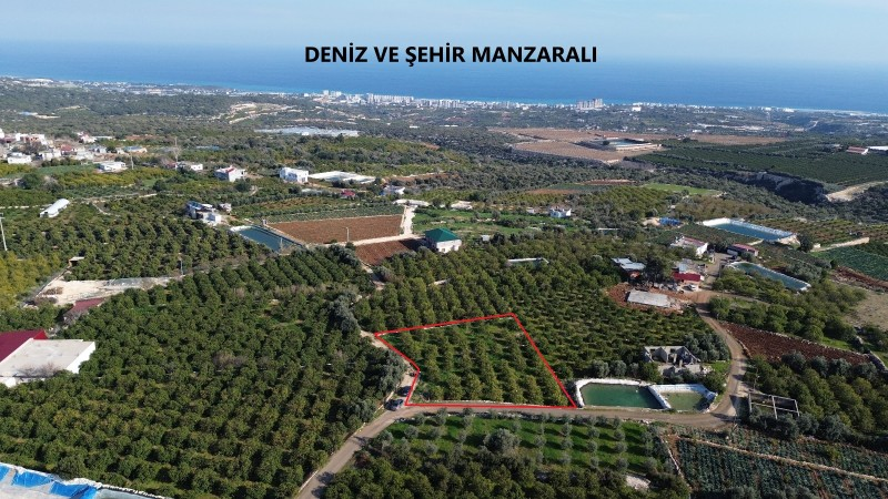 ASLAN'DAN TECEDE GELECEK VADEDEN DENİZ MANZARALI YAIRIMLIK BAHÇE