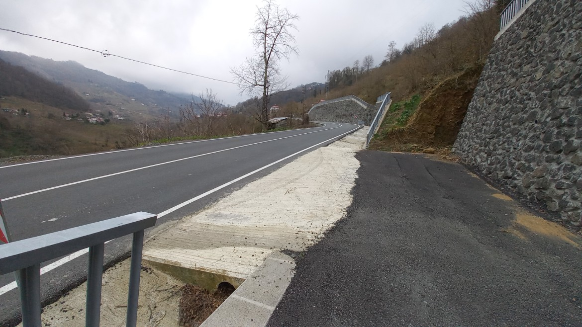 BEŞİKDÜZÜ VARDALLI'DA SATILIK 2.759 M2 ARAZİ