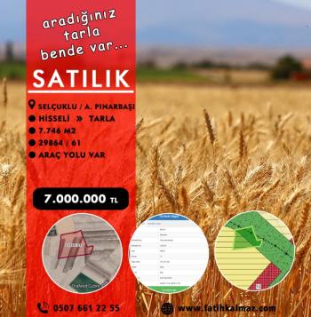 Konya / Selçuklu / Satılık Tarla AşağıPınarbaşı Mah. Hisseli 7.746 M2