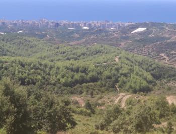 Antalya, Alanya, Mahmutlar Köyü'nde satılık arsa