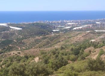 Antalya, Alanya, Mahmutlar Köyü'nde satılık arsa