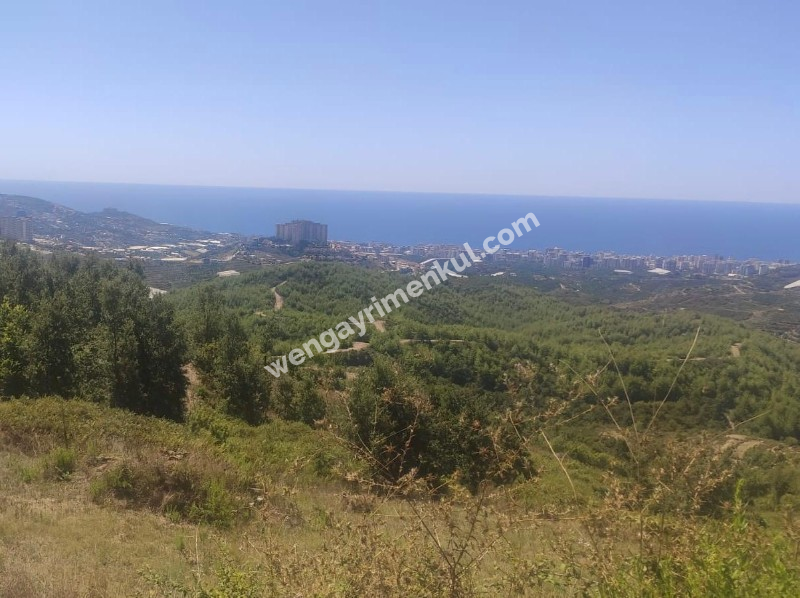 Antalya, Alanya, Mahmutlar Köyü'nde satılık arsa