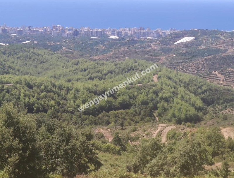 Antalya, Alanya, Mahmutlar Köyü'nde satılık arsa