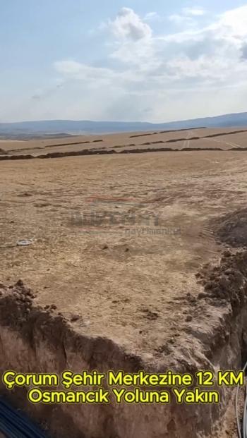 GÜVENAY – ÇORUM MERKEZ OSMANCIK YOLU ÜZERİ – SATILIK BAHÇE