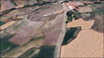 GÜVENAY - ÇORUM BÜĞET 11 DÖNÜM YOLA CEPHE SATILIK TARLA