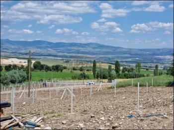 GÜVENAY - ÇORUM İSKİLİP YOLU İSTİKAMETİ ÇORUM MANZARALI BAHÇELER 