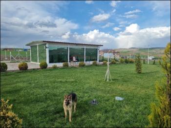 GÜVENAY - ÇORUM CEMİLBEY YOLU 3.KM 1+1 EVİ OLAN SATILIK BAHÇE