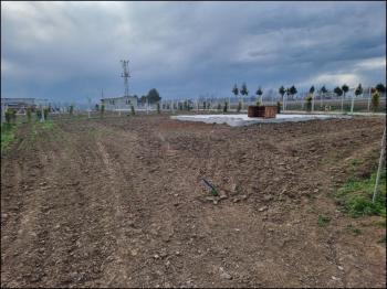 GÜVENAY - ÇORUM CEMİLBEY YOLU 3.KM 1+1 EVİ OLAN SATILIK BAHÇE