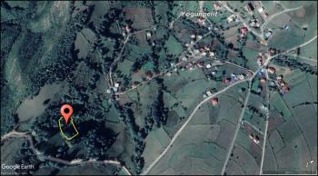 SAMSUN ALAÇAM YOĞUNPELİT 1,440 M² KISMİ DENİZ MANZARALI TARLA