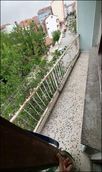 GÜVENAY - ÇORUM KIBRIS CADDESİNDE KOMPLE SATILIK BİNA