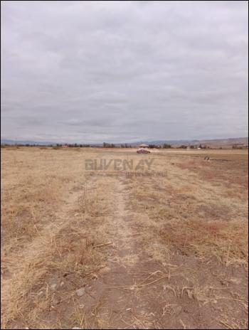 GÜVENAY - ÇORUM ŞEKER VE CEMİLBEY ARASI 8,5 DÖNÜM SATILIK TARLA 