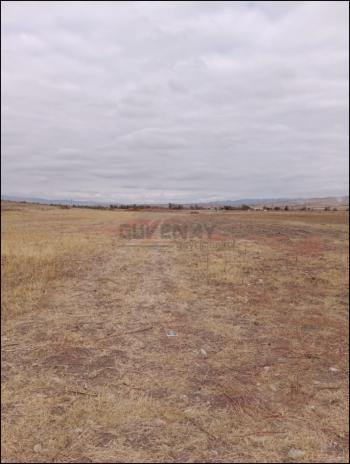 GÜVENAY - ÇORUM ŞEKER VE CEMİLBEY ARASI 8,5 DÖNÜM SATILIK TARLA 