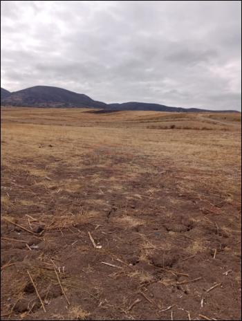 GÜVENAY - ÇORUM ŞEKER VE CEMİLBEY ARASI 8,5 DÖNÜM SATILIK TARLA 