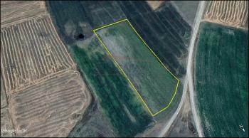 GÜVENAY - ÇORUM ŞEKER VE CEMİLBEY ARASI 8,5 DÖNÜM SATILIK TARLA 
