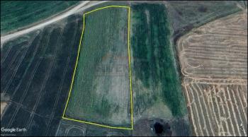 GÜVENAY - ÇORUM ŞEKER VE CEMİLBEY ARASI 8,5 DÖNÜM SATILIK TARLA 