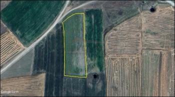 GÜVENAY - ÇORUM ŞEKER VE CEMİLBEY ARASI 8,5 DÖNÜM SATILIK TARLA 