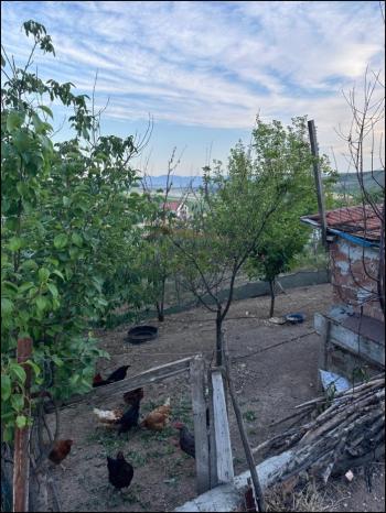 GÜVENAY - ÇORUM SARMAŞA MEVKİİ İÇERİSİNDE EVİ OLAN SATILIK HOBİ BAHÇESİ 
