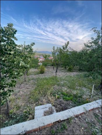 GÜVENAY - ÇORUM SARMAŞA MEVKİİ İÇERİSİNDE EVİ OLAN SATILIK HOBİ BAHÇESİ 