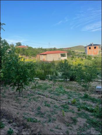 GÜVENAY - ÇORUM SARMAŞA MEVKİİ İÇERİSİNDE EVİ OLAN SATILIK HOBİ BAHÇESİ 