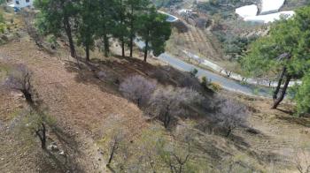 ANAMUR ÇATALOLUK SATILIK 5800 M2 TARLA