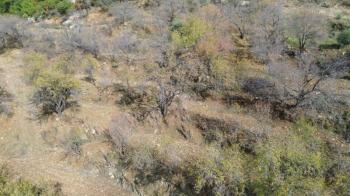 ANAMUR ÇATALOLUK SATILIK 5800 M2 TARLA