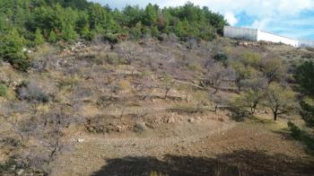 ANAMUR ÇATALOLUK SATILIK 5800 M2 TARLA