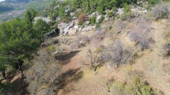 ANAMUR ÇATALOLUK SATILIK 5800 M2 TARLA