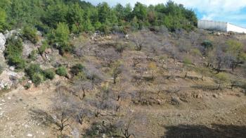 ANAMUR ÇATALOLUK SATILIK 5800 M2 TARLA