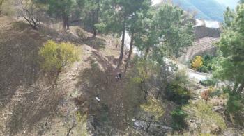 ANAMUR ÇATALOLUK SATILIK 5800 M2 TARLA