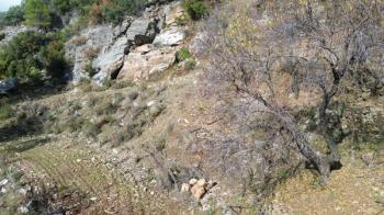 ANAMUR ÇATALOLUK SATILIK 5800 M2 TARLA