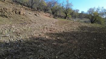 ANAMUR ÇATALOLUK SATILIK 5800 M2 TARLA