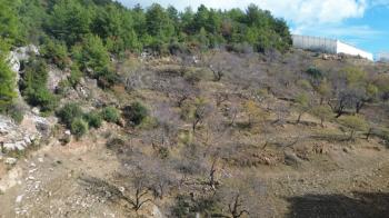 ANAMUR ÇATALOLUK SATILIK 5800 M2 TARLA