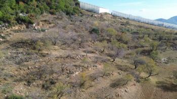ANAMUR ÇATALOLUK SATILIK 5800 M2 TARLA
