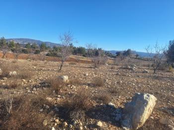 GÜLNAR SARAY MAHALLESİNDE SATILIK 10500 M2 TARLA