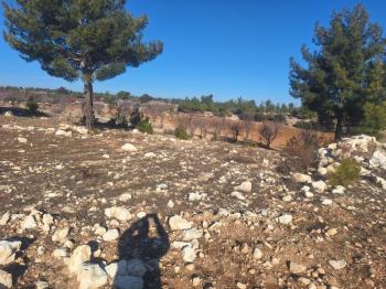 GÜLNAR SARAY MAHALLESİNDE SATILIK 10500 M2 TARLA