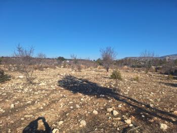 GÜLNAR SARAY MAHALLESİNDE SATILIK 10500 M2 TARLA