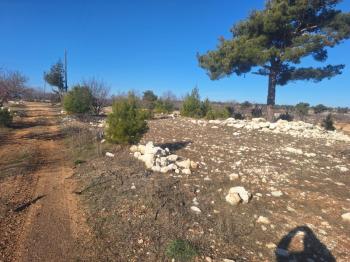 GÜLNAR SARAY MAHALLESİNDE SATILIK 10500 M2 TARLA