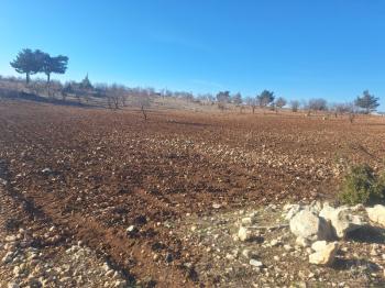 GÜLNAR SARAY MAHALLESİNDE SATILIK 10500 M2 TARLA