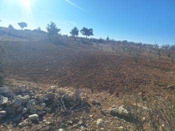 GÜLNAR SARAY MAHALLESİNDE SATILIK 10500 M2 TARLA