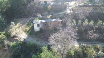 ANAMUR KORUCUKTA MÜSTAKİL SATILIK ZEYTİN VE AVOKADO BAHÇESİ