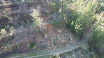 ANAMUR KORUCUKTA MÜSTAKİL SATILIK ZEYTİN VE AVOKADO BAHÇESİ