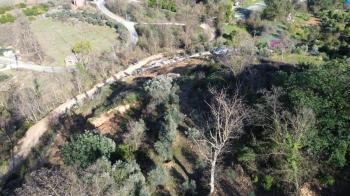 ANAMUR KORUCUKTA MÜSTAKİL SATILIK ZEYTİN VE AVOKADO BAHÇESİ