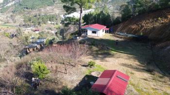 ANAMUR KORUCUKTA MÜSTAKİL SATILIK ZEYTİN VE AVOKADO BAHÇESİ