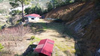 ANAMUR KORUCUKTA MÜSTAKİL SATILIK ZEYTİN VE AVOKADO BAHÇESİ