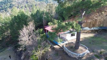 ANAMUR KORUCUKTA MÜSTAKİL SATILIK ZEYTİN VE AVOKADO BAHÇESİ