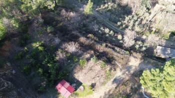 ANAMUR KORUCUKTA MÜSTAKİL SATILIK ZEYTİN VE AVOKADO BAHÇESİ
