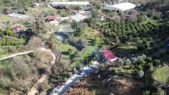 ANAMUR KORUCUKTA MÜSTAKİL SATILIK ZEYTİN VE AVOKADO BAHÇESİ