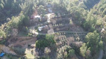 ANAMUR KORUCUKTA MÜSTAKİL SATILIK ZEYTİN VE AVOKADO BAHÇESİ