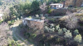 ANAMUR KORUCUKTA MÜSTAKİL SATILIK ZEYTİN VE AVOKADO BAHÇESİ