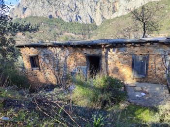 ANAMUR KORUCUKTA MÜSTAKİL SATILIK ZEYTİN VE AVOKADO BAHÇESİ